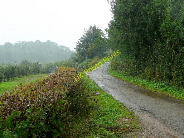 Photo 6"x4" Hinders Lane Ganders Green c2009