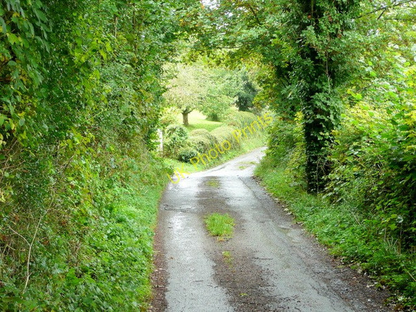 Photo 6"x4" Steep lane at Dursley Cross Ganders Green c2009