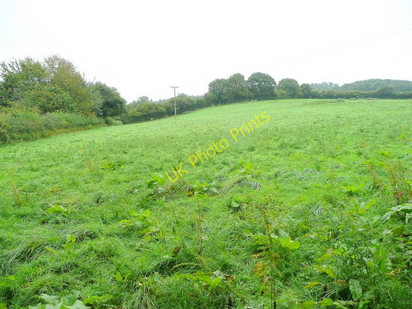 Photo 6"x4" Pasture south of the A40 Dursley Cross c2009