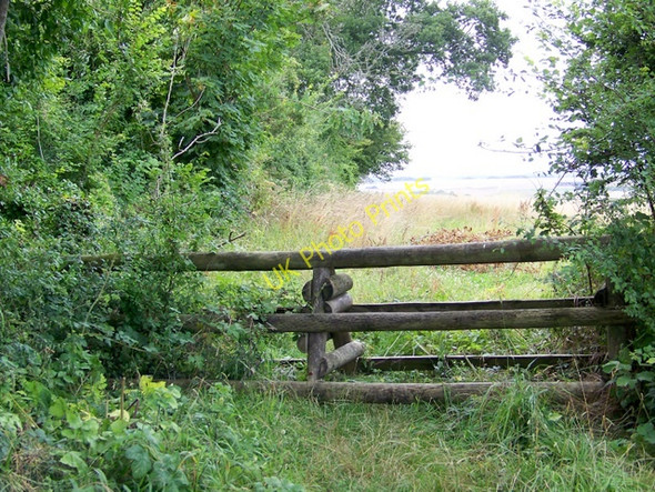 Photo 6"x4" Horse jump, Badbury Rings Hemsworth\/ST9605 c2009