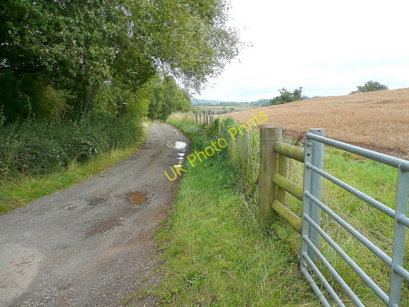 Photo 6"x4" Track and footpath Dinedor Cross c2009