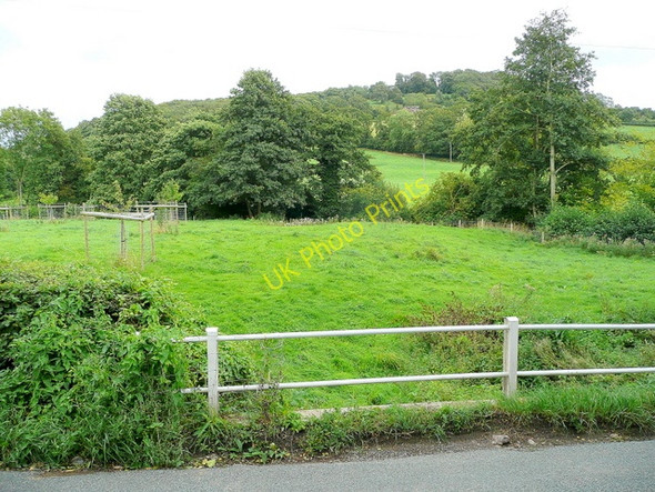 Photo 6"x4" Dinedor Common Bullinghope c2009
