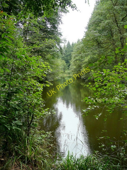 Photo 6"x4" Soudley Middle Pond 3 Grange Village c2009