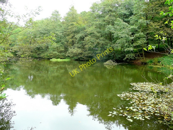 Photo 6"x4" Soudley Middle Pond 5 Grange Village c2009
