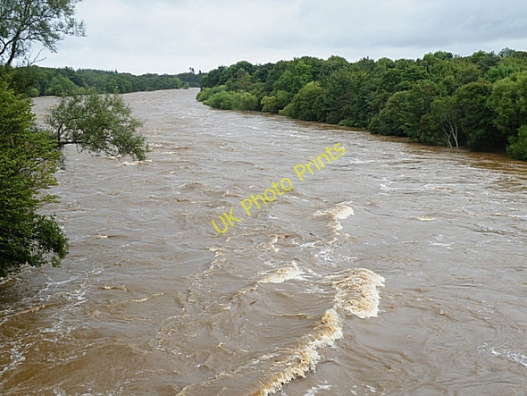 Photo 6"x4" River Spey in Spate (3) Fochabers c2009