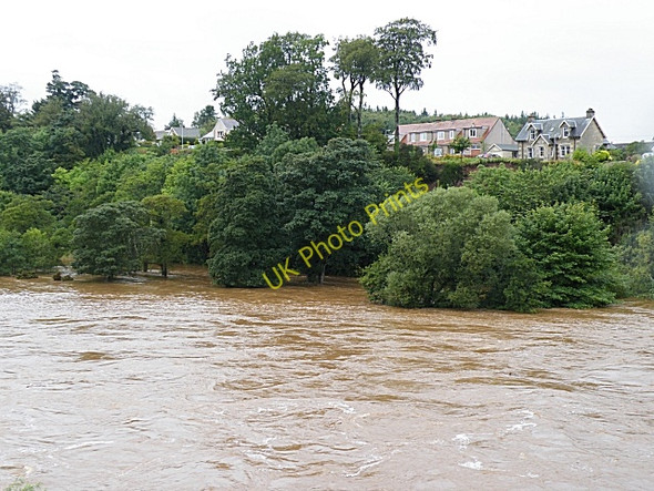 Photo 6"x4" River Spey in Spate (7) Crofts of Dipple c2009