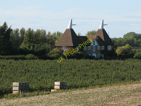 Photo 6"x4" Oast houses on Crouch Lane Neames Forstal c2009