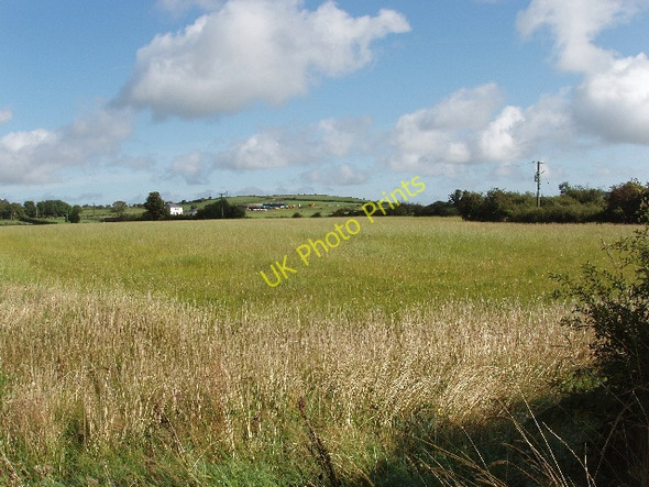 Photo 6"x4" Uncut grass field near Monamintra Tramore c2009