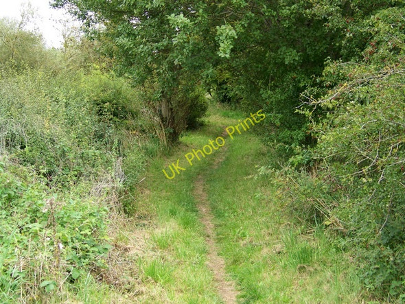 Photo 6"x4" Footpath, Knook Knook c2009