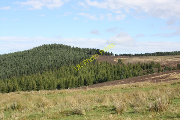 Photo 6"x4" Tormore Wood on Tom an Ime Cragganmore\/NJ1636 c2009