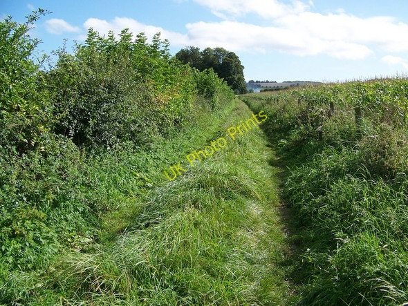 Photo 6"x4" Footpath near Knook Knook c2009