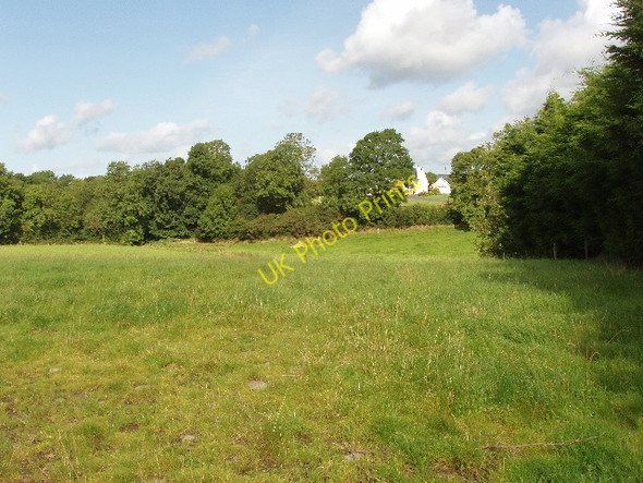 Photo 6"x4" Pasture on road to Flemingstown Kilmacow c2009