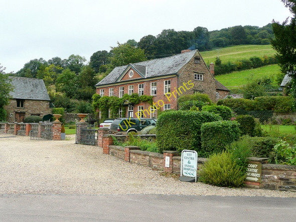 Photo 6"x4" Harts House Brimps Hill c2009