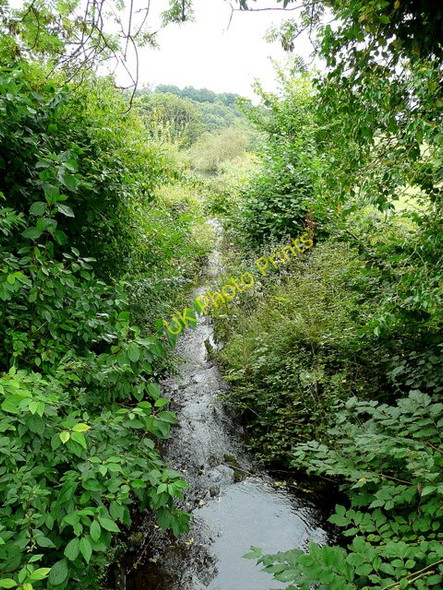 Photo 6"x4" Brook at Harts Barn Brimps Hill c2009