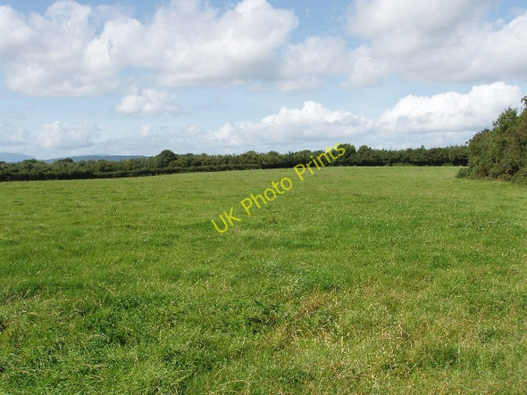 Photo 6"x4" Pasture near Ullid Kilmacow c2009