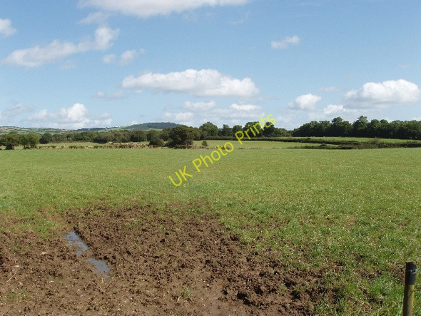 Photo 6"x4" Pasture near Arderra Mooncoin c2009