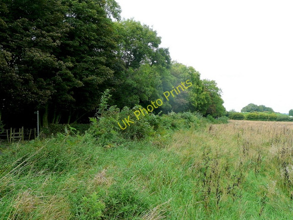 Photo 6"x4" Field by Millstone Lane Alfreton c2009