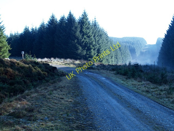 Photo 6"x4" Forestry road, Howcleuch Forest Redshaw Burn c2008