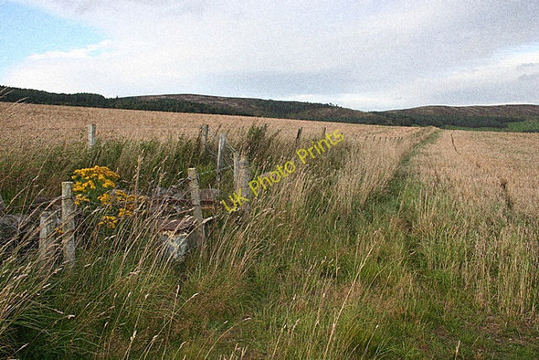 Photo 6"x4" Near Coldhome Migvie c2009