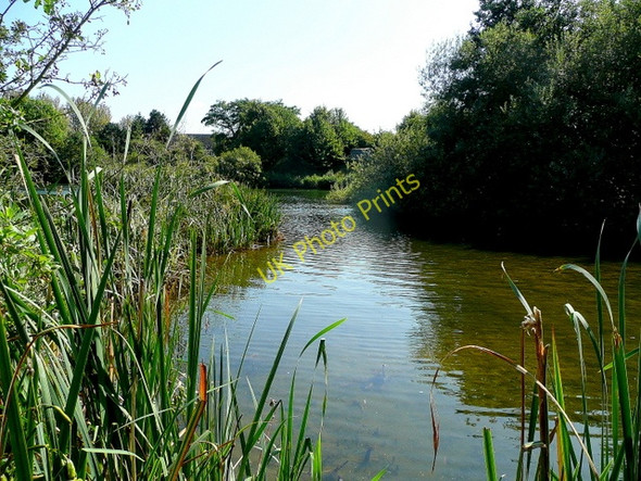 Photo 6"x4" Ornamental pond at Beckford 2 Beckford\/SO9735 c2009