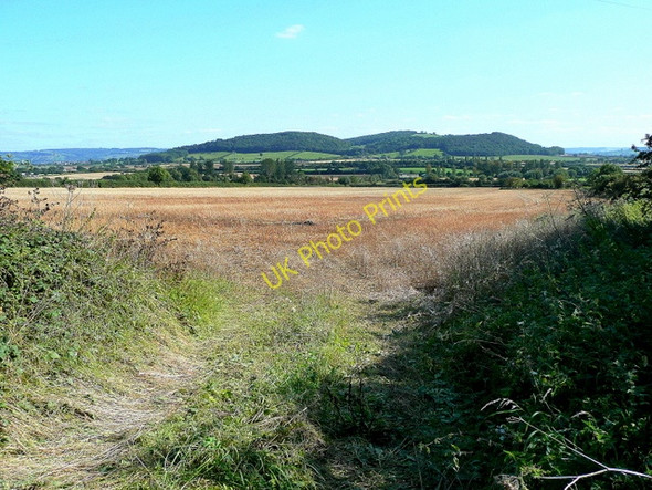 Photo 6"x4" View to Alderton Hill Grafton\/SO9837 c2009