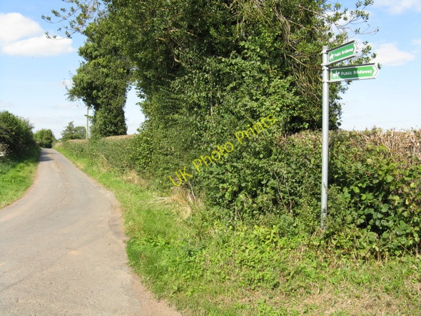 Photo 6"x4" Lane To Harpley Harpley\/SO6861 c2009