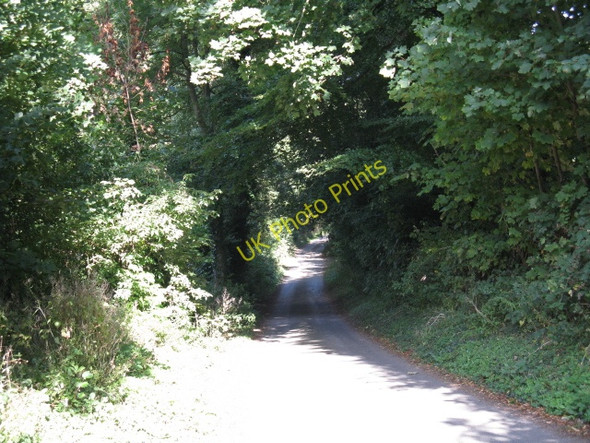 Photo 6"x4" Harpley Lane Harpley\/SO6861 c2009