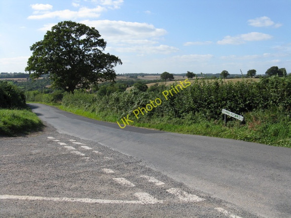 Photo 6"x4" Hollybush Lane At Lower Sapey Junction Clifton Upton Teme c2009