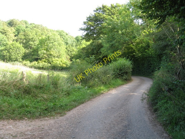 Photo 6"x4" Lane Near Lower Sapey Lower Sapey c2009