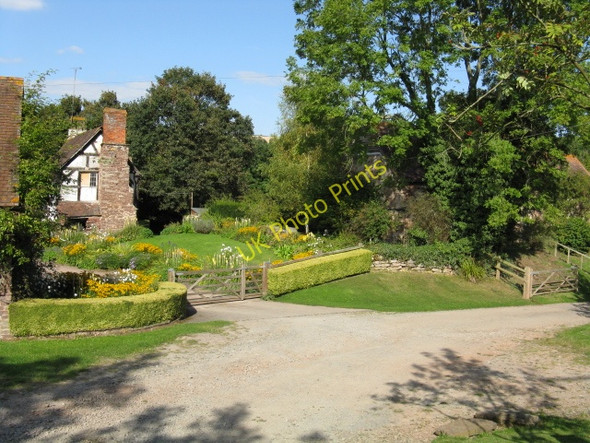 Photo 6"x4" Cottage Garden, Lower Sapey Lower Sapey c2009