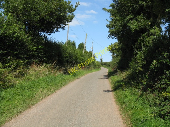 Photo 6"x4" Lower Sapey Lane Lower Sapey c2009