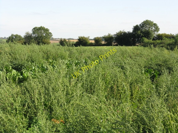 Photo 6"x4" Wasteground At The County Boundary Harpley\/SO6861 c2009