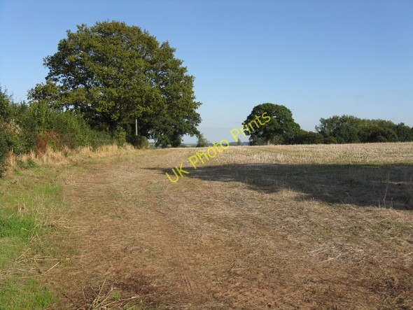 Photo 6"x4" Footpath Across A Stubble Field, High Lane Harpley\/SO6861 c2009
