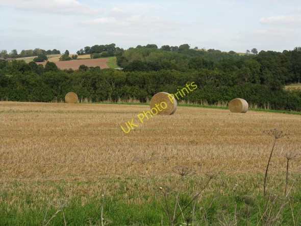 Photo 6"x4" Harvested Field At The Green Elms Green\/SO7266 c2009