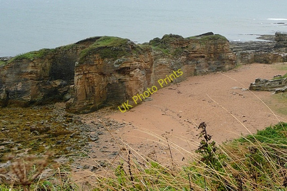 Photo 6"x4" Coast near Howick Howick\/NU2517 c2009