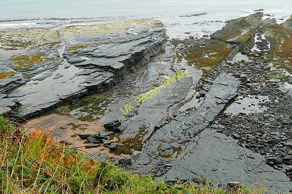 Photo 6"x4" Coast near Howick Howick\/NU2517 c2009