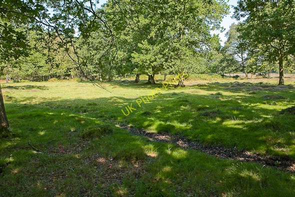 Photo 6"x4" Warwickslade Cutting: a planned meander Bank\/SU2807 c2009