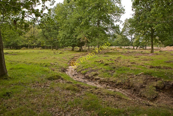 Photo 6"x4" Warwickslade cutting: new meander takes shape Bank\/SU2807 c2009