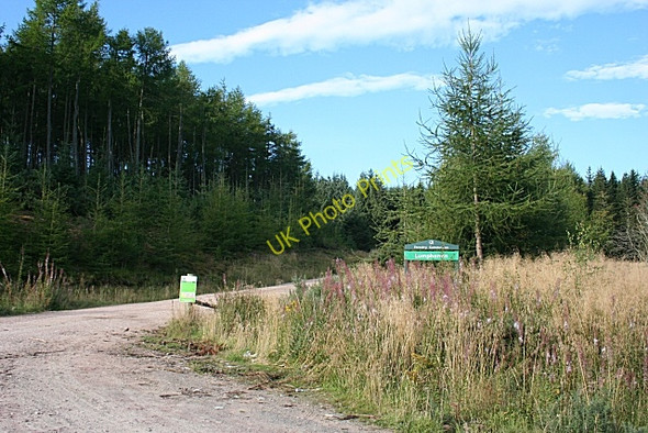 Photo 6"x4" Lumphanan Forest Perkhill c2009
