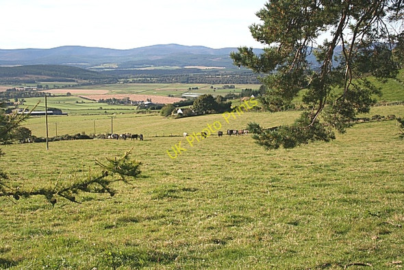 Photo 6"x4" The View from Woodend Perkhill c2009