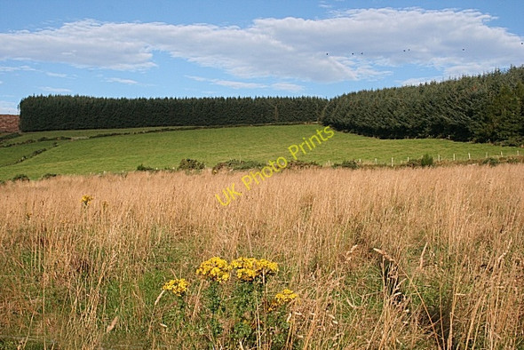 Photo 6"x4" Blelack Hill Perkhill c2009