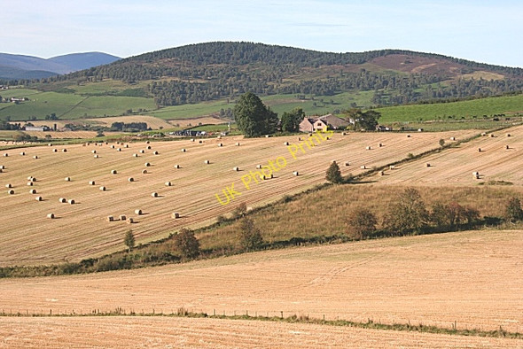 Photo 6"x4" Looking Towards Cairnton Perkhill c2009