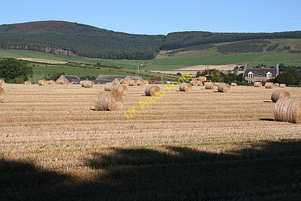 Photo 6"x4" Milton of Auchinhove Perkhill c2009