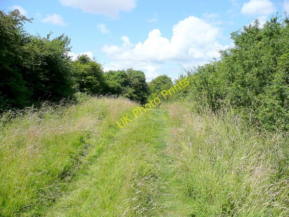Photo 6"x4" Bridleway to Northwick Warth New Passage c2009