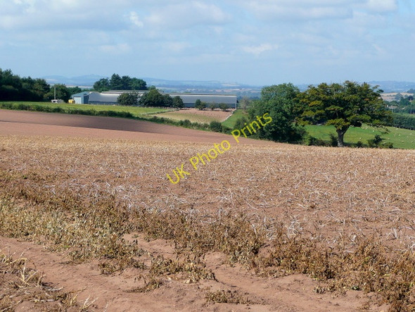Photo 6"x4" Porch Farm, Kingstone Kingstone\/SO6324 c2009