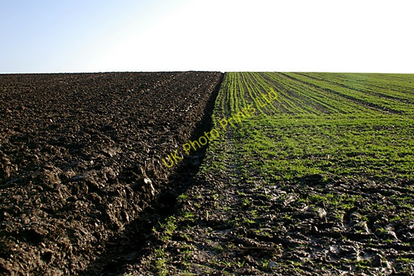 Photo 6"x4" Ploughed and Sown Kelstern c2008
