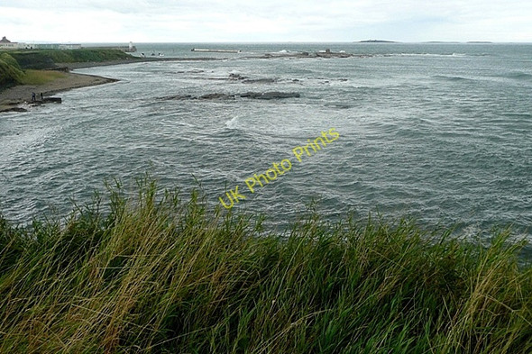 Photo 6"x4" Braidcarr Rocks North Sunderland c2009