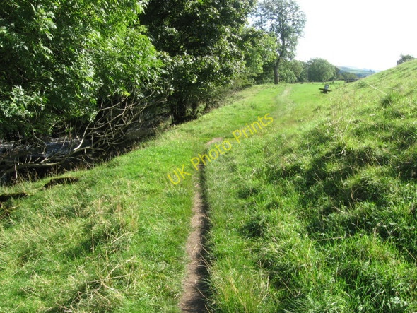 Photo 6"x4" Ribble Way near Horton in Ribblesdale Horton in Ribblesdale c2009