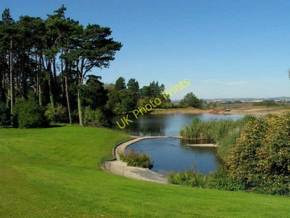 Photo 6"x4" Lake and trees, Castle Espie Comber c2009