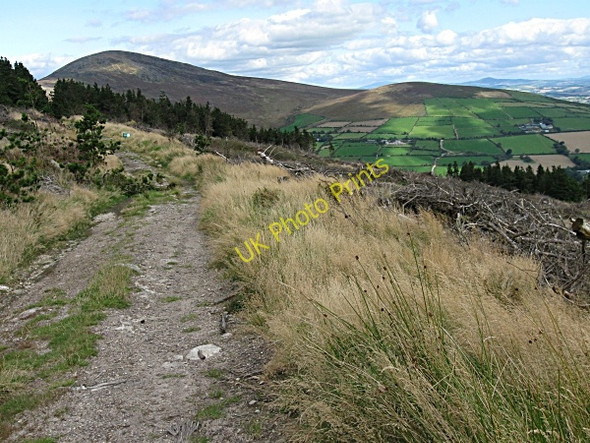 Photo 6"x4" Blackstairs Mountain Rathnure c2009
